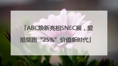 ABC焕新亮相SNEC展，爱旭领跑“25%”价值新时代