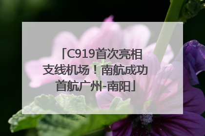 C919首次亮相支线机场！南航成功首航广州-南阳