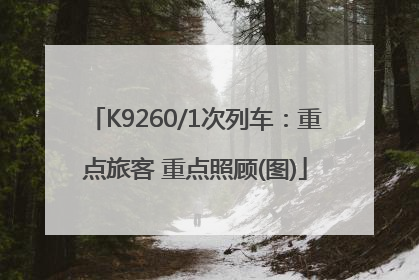 K9260/1次列车：重点旅客 重点照顾(图)