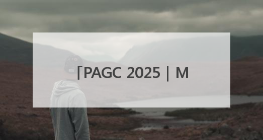 PAGC 2025｜MergeX荣膺「2025 H1 出海新势力奖」
