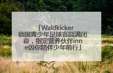 Waldkicker德国青少年足球赛圆满闭幕，指定营养伙伴inne因你陪伴少年前行